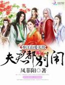 棄江山愛美男:夫君都別鬧