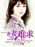 一妻難求(作者:左手天涯)